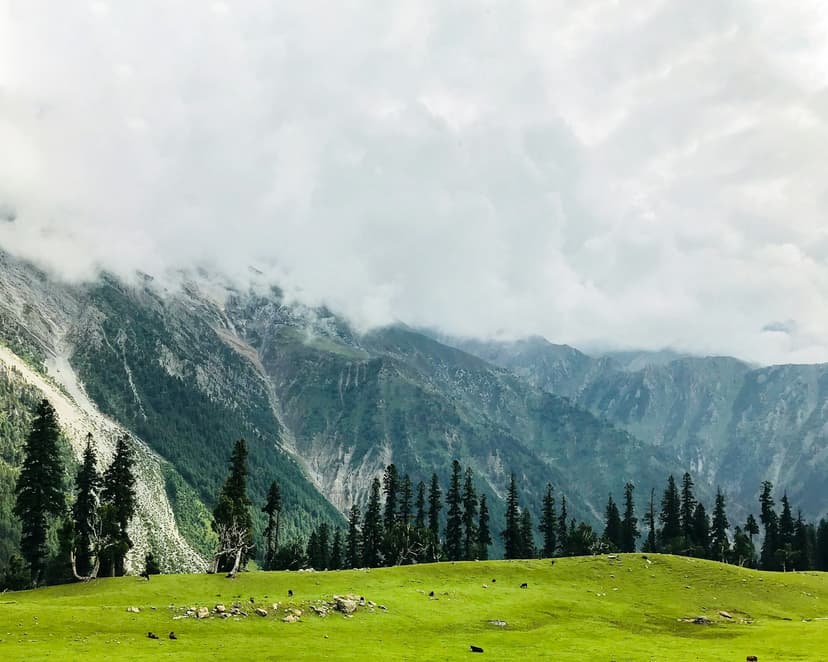 Kashmir Tour India
